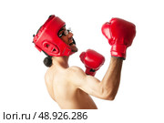 Funny boxer isolated on white. Стоковое фото, агентство Ingram Publishing / Фотобанк Лори