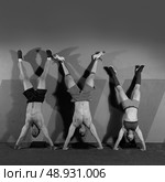Handstand push-up group pushups workout top position at gym. Стоковое фото, агентство Ingram Publishing / Фотобанк Лори