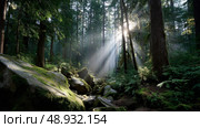 Beautiful forest background for screensaver. with sunbeams. Calm close-up of fairytale forest and nature landscape, panorama. Summer vacation, holiday, amazing nature. Стоковое AI-изображение, AI-художник ALLA YURTAYEVA / Фотобанк Лори