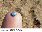 Seashell in hand, against the backdrop of the sea. Стоковое фото, фотограф K. / Фотобанк Лори