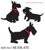 Set of of scottish terrier dogs silhouettes. Стоковая иллюстрация, агентство Ingram Publishing / Фотобанк Лори