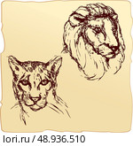 hand drawn ink portrait sketch of lion and cheetah heads. Стоковая иллюстрация, агентство Ingram Publishing / Фотобанк Лори