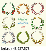 Sketch colored hand drawn vintage royal heraldic leaf wreaths set isolated vector illustration. Стоковая иллюстрация, агентство Ingram Publishing / Фотобанк Лори
