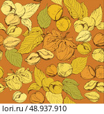  Seamless pattern with highly detailed hand drawn hazelnuts on brown background. Стоковая иллюстрация, агентство Ingram Publishing / Фотобанк Лори