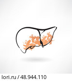 liver icon. Стоковая иллюстрация, агентство Ingram Publishing / Фотобанк Лори