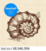Seashell hand drawn sketch. Vintage illustration. Стоковая иллюстрация, агентство Ingram Publishing / Фотобанк Лори