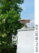 Sculptural stone vase on column in verdant garden. Serene still life with soft light, classical elegance. Стоковое фото, фотограф Елена  Попкова / Фотобанк Лори