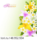 Beautiful flowers background, vector illustration with lilies - flowers, buds and leaves. Стоковая иллюстрация, агентство Ingram Publishing / Фотобанк Лори