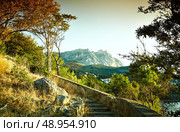 Tree and sea at sunset. Crimea landscape. Nature background. Стоковое фото, агентство Ingram Publishing / Фотобанк Лори