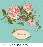 Vintage thank you nostalgic note card gratitude message with cottage garden roses flowers sketch color vector illustration. Стоковая иллюстрация, агентство Ingram Publishing / Фотобанк Лори