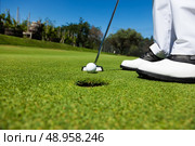 Golfer on the putting green, preparing to put. Стоковое фото, агентство Ingram Publishing / Фотобанк Лори