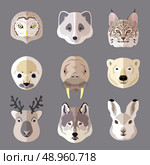 Northern animal and bird portrait flat icons set with owl arctic fox lynx isolated vector illustration. Стоковая иллюстрация, агентство Ingram Publishing / Фотобанк Лори
