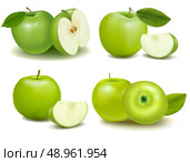 Set of fresh green apples with green leafs. Vector. . Стоковая иллюстрация, агентство Ingram Publishing / Фотобанк Лори