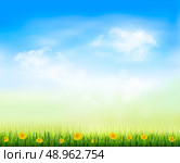Summer gaze background with blue sky and a field of dandelions. Vector. Стоковая иллюстрация, агентство Ingram Publishing / Фотобанк Лори