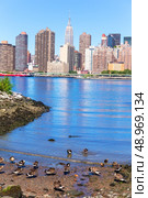Manhattan New York sunny skyline East River ducks NYC USA. Стоковое фото, агентство Ingram Publishing / Фотобанк Лори