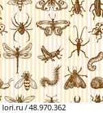 Insects sketch monochrome decorative seamless pattern with snail grasshopper centipede vector illustration. Стоковая иллюстрация, агентство Ingram Publishing / Фотобанк Лори