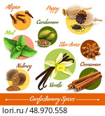 Spices decorative icons set of poppy cardamom nutmeg vanilla isolated vector illustration. Стоковая иллюстрация, агентство Ingram Publishing / Фотобанк Лори
