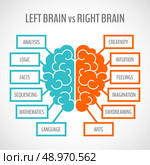 Brain left analytical and right creative hemispheres infographics set vector illustration. Стоковая иллюстрация, агентство Ingram Publishing / Фотобанк Лори