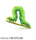 Green caterpillar insect realistic on plant stick on white background vector illustration. Стоковая иллюстрация, агентство Ingram Publishing / Фотобанк Лори