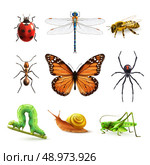 Insects realistic colored decorative icons set with ladybug snail wasp isolated vector illustration. Стоковая иллюстрация, агентство Ingram Publishing / Фотобанк Лори