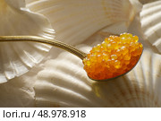 caviar salmon on a teaspoon. Стоковое фото, агентство Ingram Publishing / Фотобанк Лори