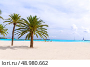 Majorca Platja Palmanova beach in Calvia Bol ses Teules Mallorca. Стоковое фото, агентство Ingram Publishing / Фотобанк Лори