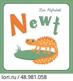 Letter N - Newt. Alphabet with cute animals. Vector illustration. Other letters from this set are available in my portfolio. Стоковая иллюстрация, агентство Ingram Publishing / Фотобанк Лори
