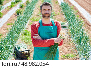 Farmer man harvesting onions in Mediterranean orchard field. Стоковое фото, агентство Ingram Publishing / Фотобанк Лори