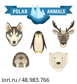 Polar animals decorative icons set with pinguin deer walrus white bear isolated vector illustration. Polar Animals Set. Стоковая иллюстрация, агентство Ingram Publishing / Фотобанк Лори