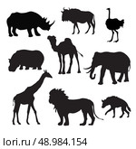 Wild african animals black silhouettes set with buffalo hippopotamus giraffe isolated vector illustration. Wild African Animals Black. Стоковая иллюстрация, агентство Ingram Publishing / Фотобанк Лори