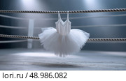 Ballet tutu suspended on boxing ring ropes amidst dramatic lighting. Балетная пачка подвешена на канатах боксерского ринга на фоне эффектного освещения. Стоковое AI-изображение, AI-художник Katsiaryna Repich / Фотобанк Лори