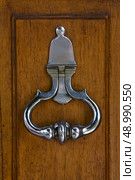 a silvery knocker in door la boca  buenos aires argentina. Стоковое фото, агентство Ingram Publishing / Фотобанк Лори