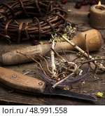 dried medicinal licorice root herbalist.Selective focus. medicinal root. Стоковое фото, агентство Ingram Publishing / Фотобанк Лори