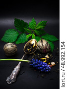 dry leaves of the tea infuser and accessories on black background. spilled tea . Стоковое фото, агентство Ingram Publishing / Фотобанк Лори
