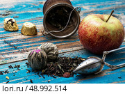 tea leaves and red apple on wooden background.The image is tinted in vintage style. Стоковое фото, агентство Ingram Publishing / Фотобанк Лори