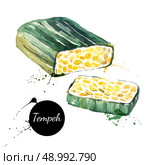 Vegetarian food banner. Vector illustration. Watercolor tempeh. Стоковая иллюстрация, агентство Ingram Publishing / Фотобанк Лори