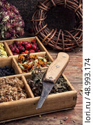 wooden box with herbs traditional medicine from home kit . Стоковое фото, агентство Ingram Publishing / Фотобанк Лори