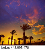 Almeria Cabo de Gata sunset in Retamar beach at Spain. Стоковое фото, агентство Ingram Publishing / Фотобанк Лори