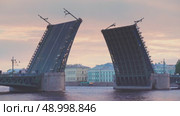 Saint-Petersburg, Russia - Jun 23 2022, 4k, View of the divorced Palace Bridge and University Embankment, Saint-Petersburg, Russia. Стоковое видео, видеограф Сергей Богомяко / Фотобанк Лори