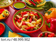 Chicken fajitas with mexican food guacamole pico de gallo chili peppers sauce and nachos. Стоковое фото, агентство Ingram Publishing / Фотобанк Лори