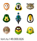 Wild bird front portrait set with owl parrot toucan isolated vector illustration. Wild Bird Set. Стоковая иллюстрация, агентство Ingram Publishing / Фотобанк Лори