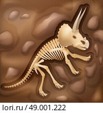 Dinasaur bones fossil illustration picture. Important scientific archeological excavation site discovery picture of dinosaur bones in shades of brown abstract vector illustration. Стоковая иллюстрация, агентство Ingram Publishing / Фотобанк Лори