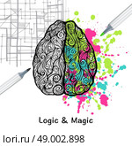 Hand drawn human brain with left logic and right creative hemispheres vector illustration. Left And Right Brain. Стоковая иллюстрация, агентство Ingram Publishing / Фотобанк Лори