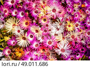 High resolution photo in best quality. Стоковое фото, агентство Ingram Publishing / Фотобанк Лори