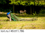 High resolution photo in best quality. Стоковое фото, агентство Ingram Publishing / Фотобанк Лори