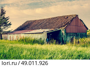 Old barn house surrounded by tall grass. Стоковое фото, агентство Ingram Publishing / Фотобанк Лори