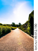 Village path with hedge on both sides. Стоковое фото, агентство Ingram Publishing / Фотобанк Лори
