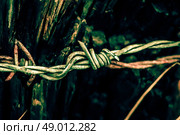 Metal barb wire around a wodden pole. Стоковое фото, агентство Ingram Publishing / Фотобанк Лори