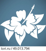 Hibiscus flower. Стоковая иллюстрация, агентство Ingram Publishing / Фотобанк Лори