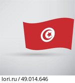 Tunisian flag icon. Стоковая иллюстрация, агентство Ingram Publishing / Фотобанк Лори
